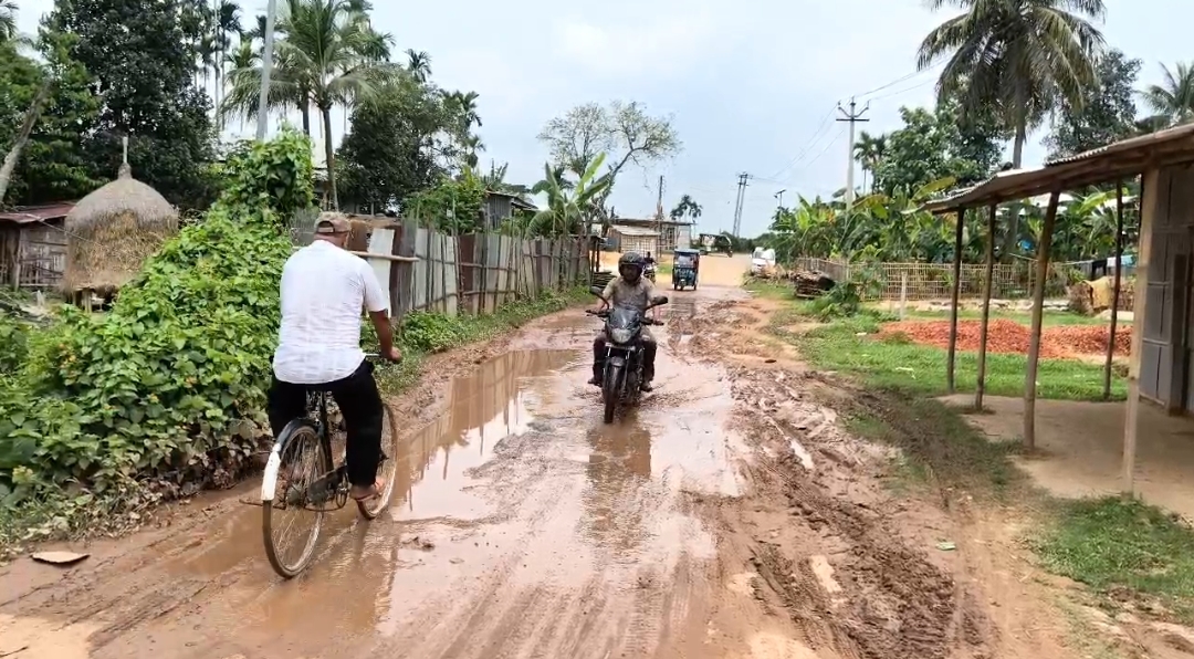 Tripura News: মন্ত্রী বিকাশ দেববর্মার নির্বাচনী ক্ষেত্রে বেহাল সড়ক! এটাই কি উন্নয়নের বিপ্লব?