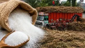 High Price Sugar: উৎসব মরশুমে চিনির বাজারে আগুন। কপাল থাপড়াছে মধ্যবিত্ত থেকে ব্যবসায়ীরা।